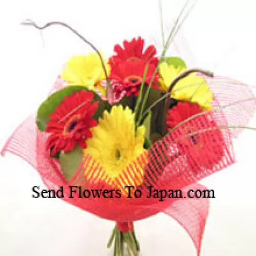 Bouquet de 11 Gerberas de différentes couleurs