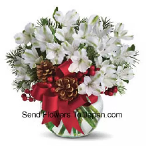Share the magic of a white Chinese New Year with this cheery bouquet of snowy white alstroemeria blossoms arranged in vase with festive holiday trim. (Please Note That We Reserve The Right To Substitute Any Product With A Suitable Product Of Equal Value In Case Of Non-Availability Of A Certain Product)